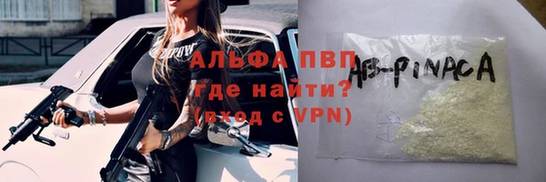 СК Новозыбков