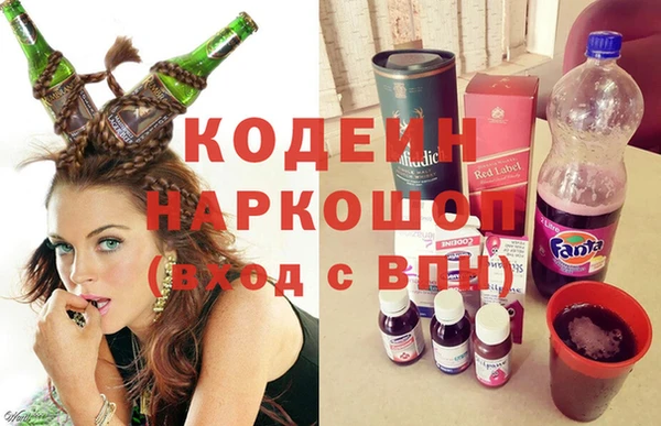 СК Новозыбков