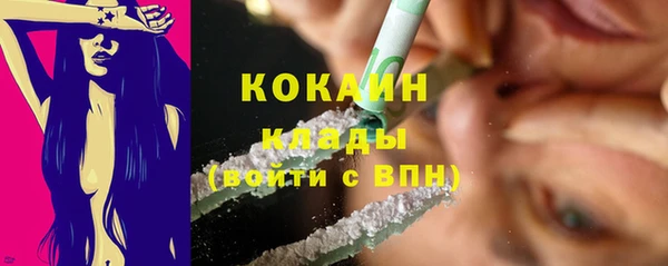 СК Новозыбков