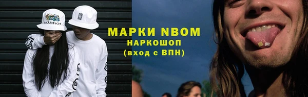 СК Новозыбков