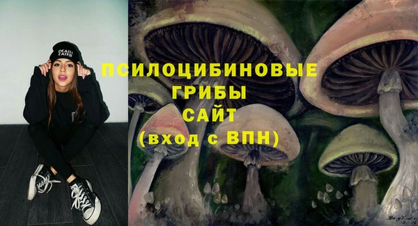 СК Новозыбков