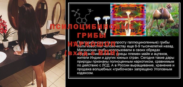 эйфоретик Валдай