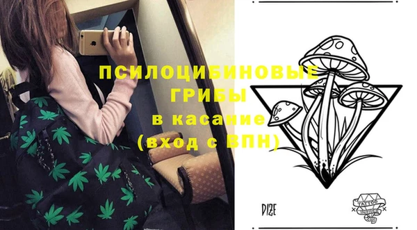 эйфоретик Нефтегорск