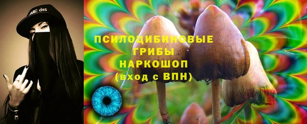 прущая мука Новодвинск