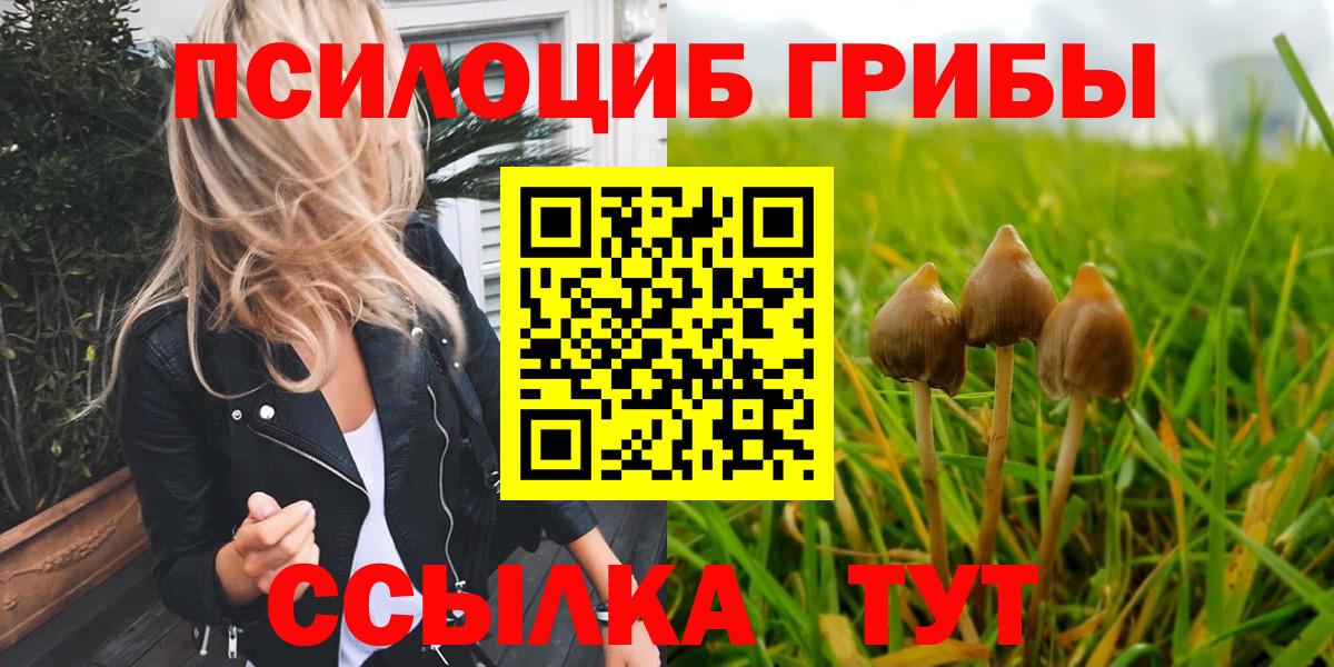 Псилоцибиновые грибы мицелий  Вход с VPN  Павлово  купить закладку  Псилоцибиновые грибы прущие грибы 