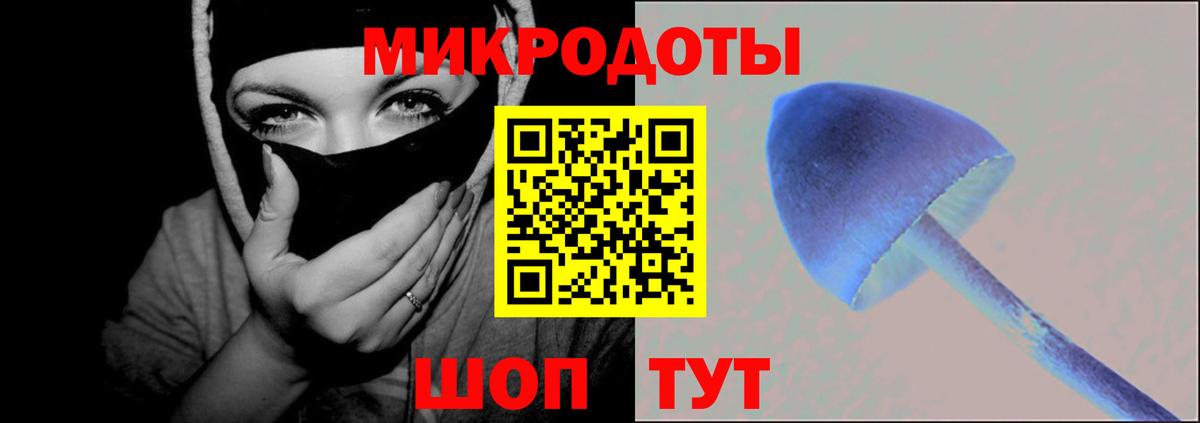 Галлюциногенные грибы мицелий Павлово